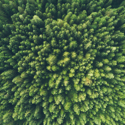 6 Ways To Make Your Beauty Routine More Eco-Friendly