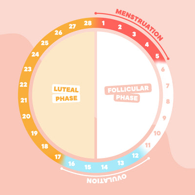 Why Do I Feel So Tired Just Before My Period?