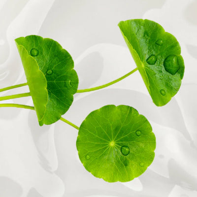 Meet K-Beauty’s Favourite Soothing Staple: Cica