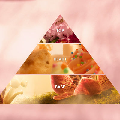 The Anatomy Of A Fragrance