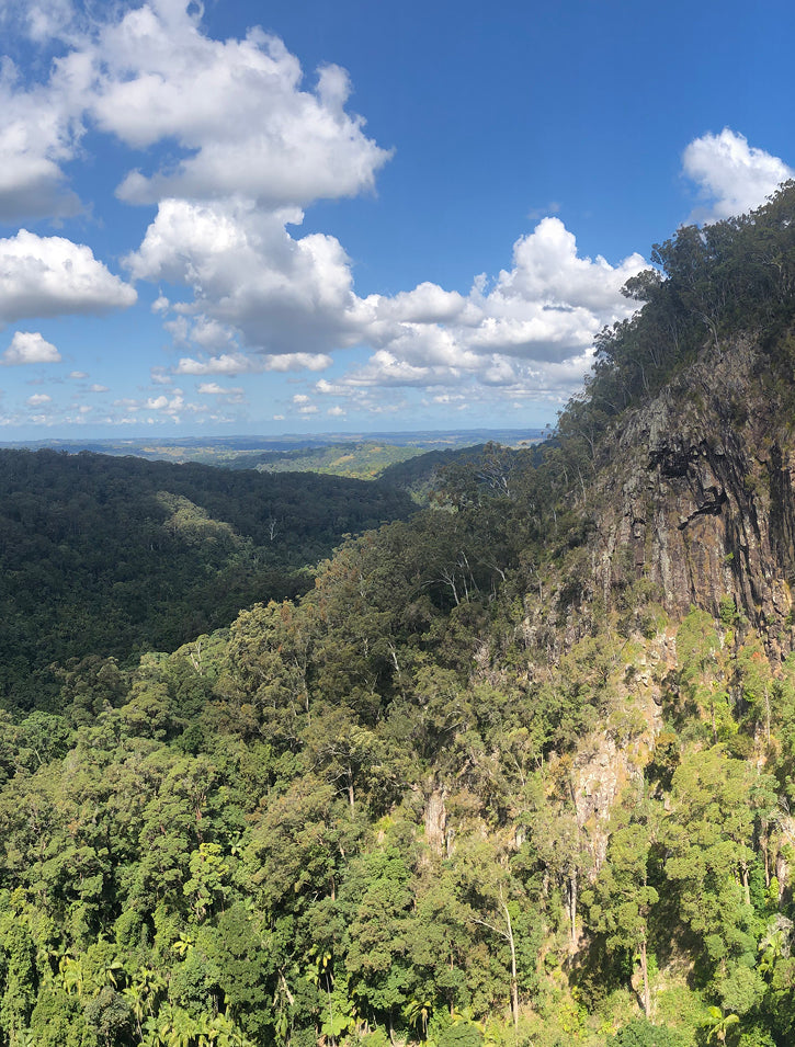 A lush green forest stretches across rolling hills under a blue sky with scattered clouds. A rocky cliff covered with trees rises on the right side of the image.