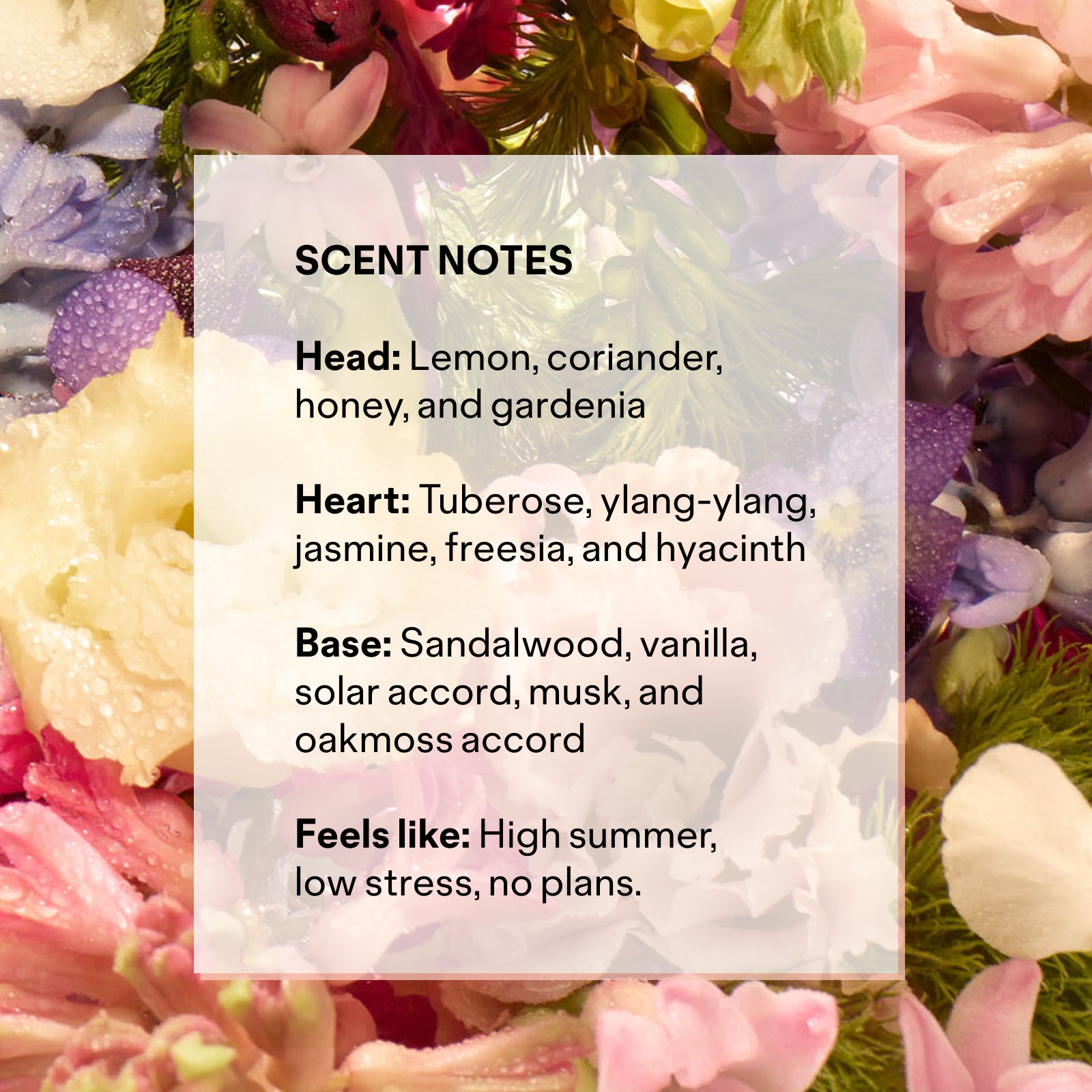 Into The Garden Fragrance Go-To Skincare