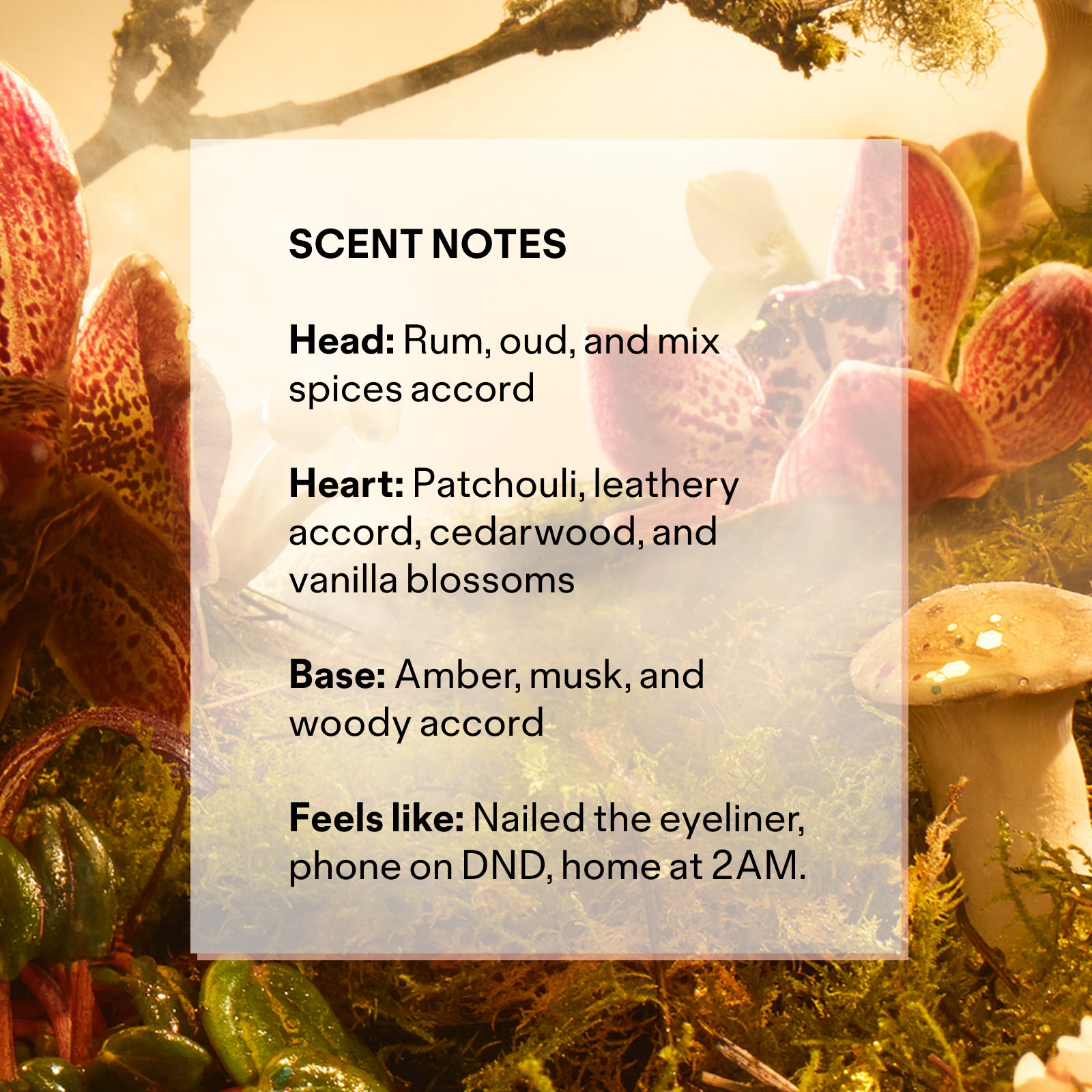 Into The Woods Fragrance Go-To Skincare